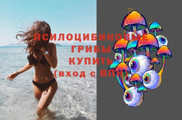 стафф Абаза