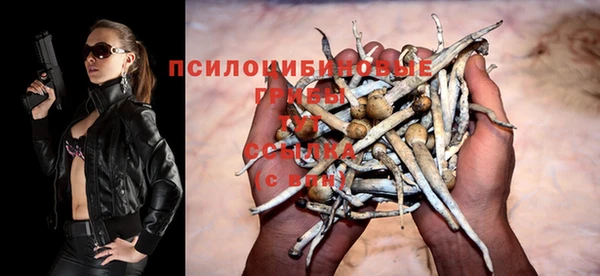 ALPHA-PVP Алексин