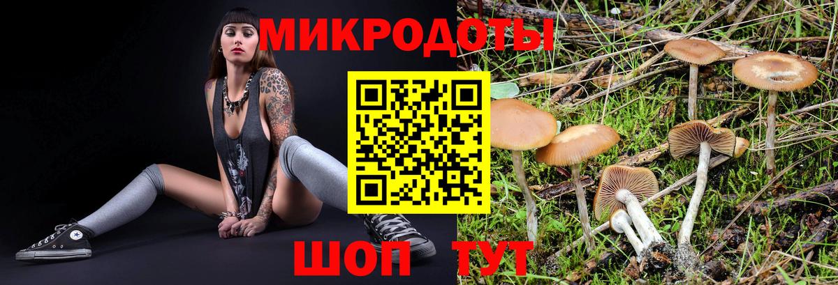 Псилоцибиновые грибы прущие грибы Домодедово