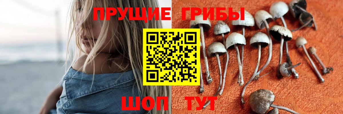Псилоцибиновые грибы Psilocybine cubensis  Вход с VPN  наркошоп  Домодедово 